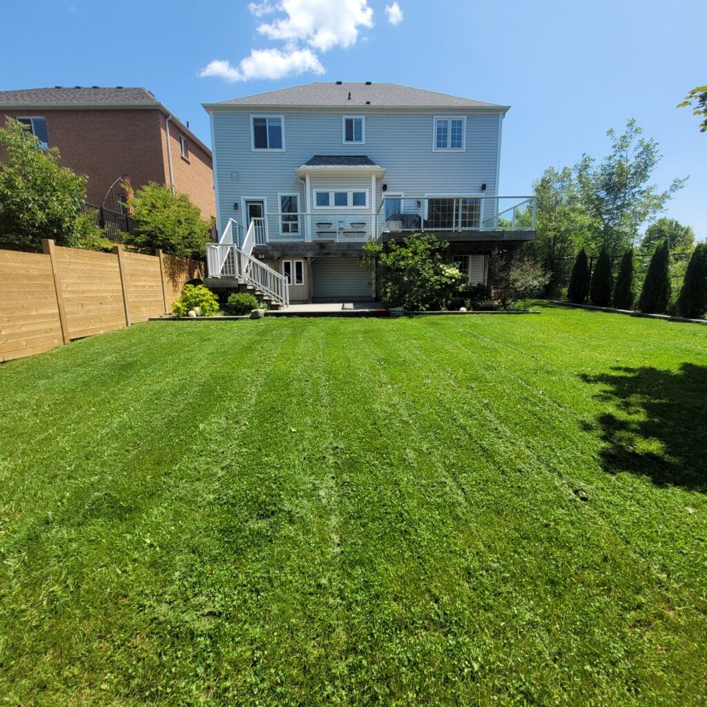 golf green residential lawn in durham