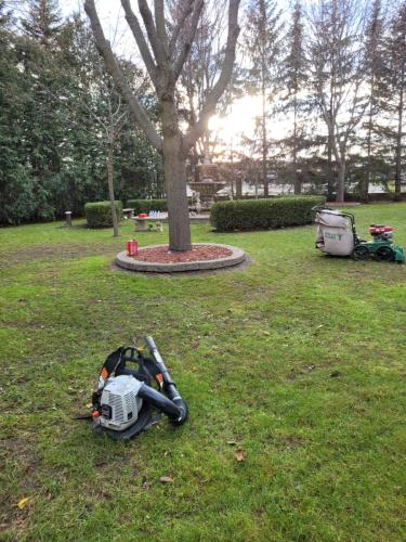 Spring / Fall Cleaning